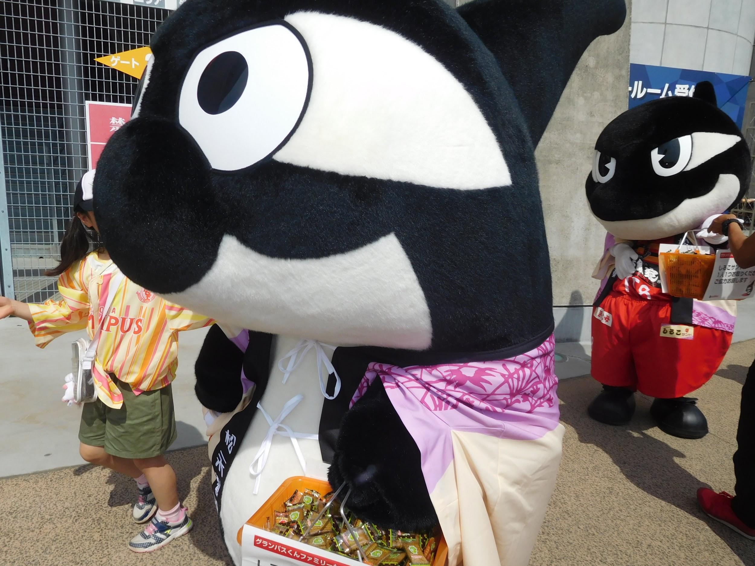グランパスくんとグランパスくんJr.によるグリーティング